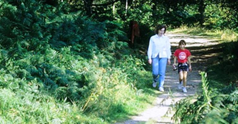 Broadlea Of Robgill Country Cottage & Bed And Breakfast Ecclefechan Extérieur photo
